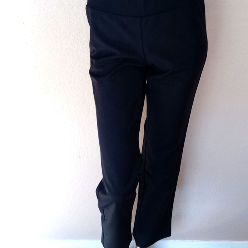 ALFANI PANT